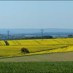 Idsteiner Land im April