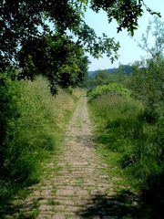 Idülische Wege an der Ruhe