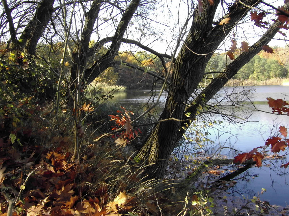 Idyillische Landschaft