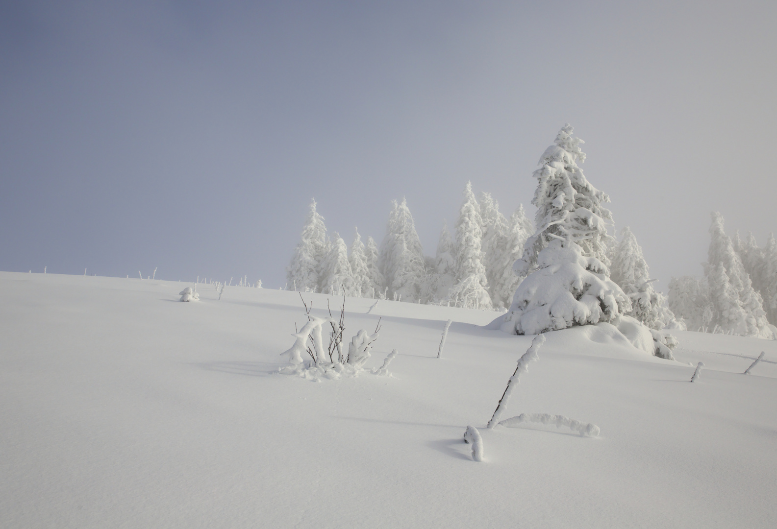 Idyle on Feldberg (Black Forest)