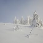 Idyle on Feldberg (Black Forest)