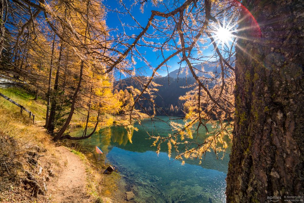 Idylic Palpuogna lake