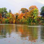 Idylische Herbstimmung am Ulmer Donauufer entlang 3