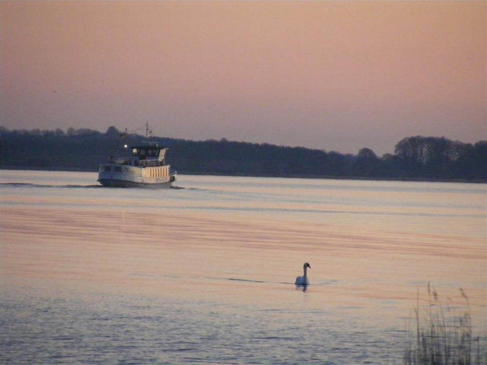 Idylische Schlei am Abend