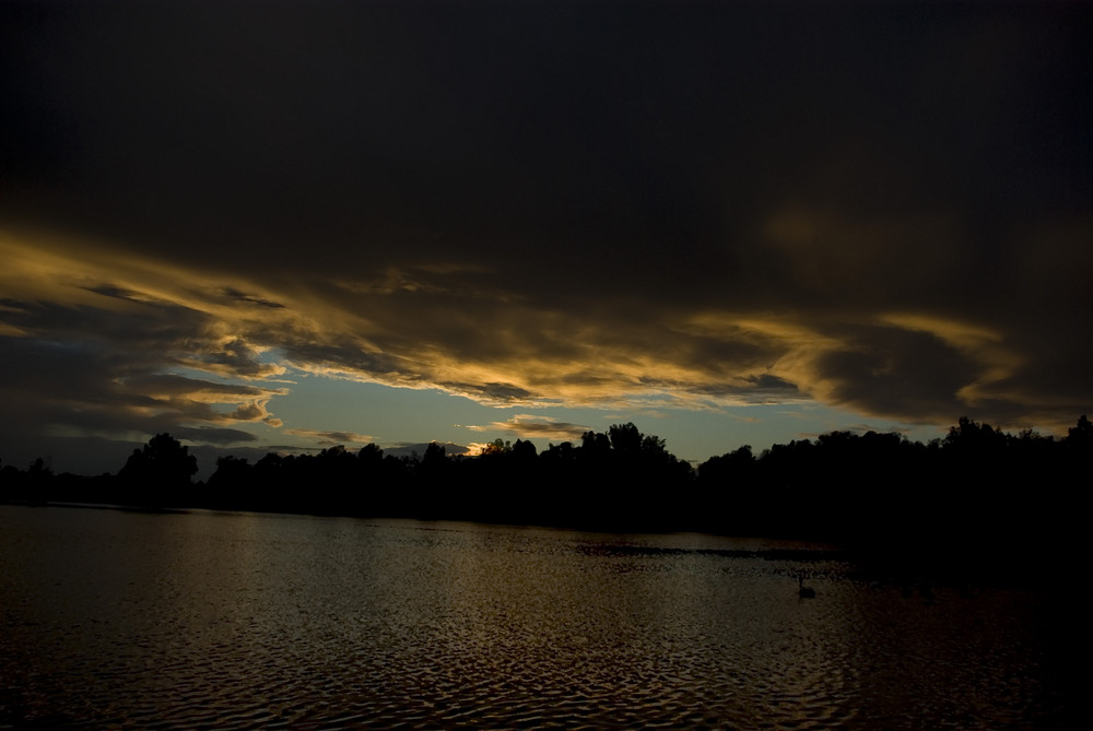 Idylischer Abend am Rio in Ludwigshafen