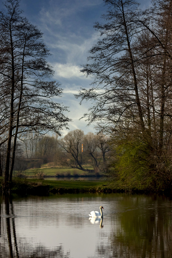 Idyll am Aueweiher