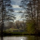 Idyll am Aueweiher