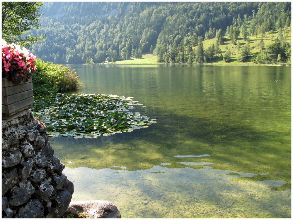 Idyll am Ferchensee