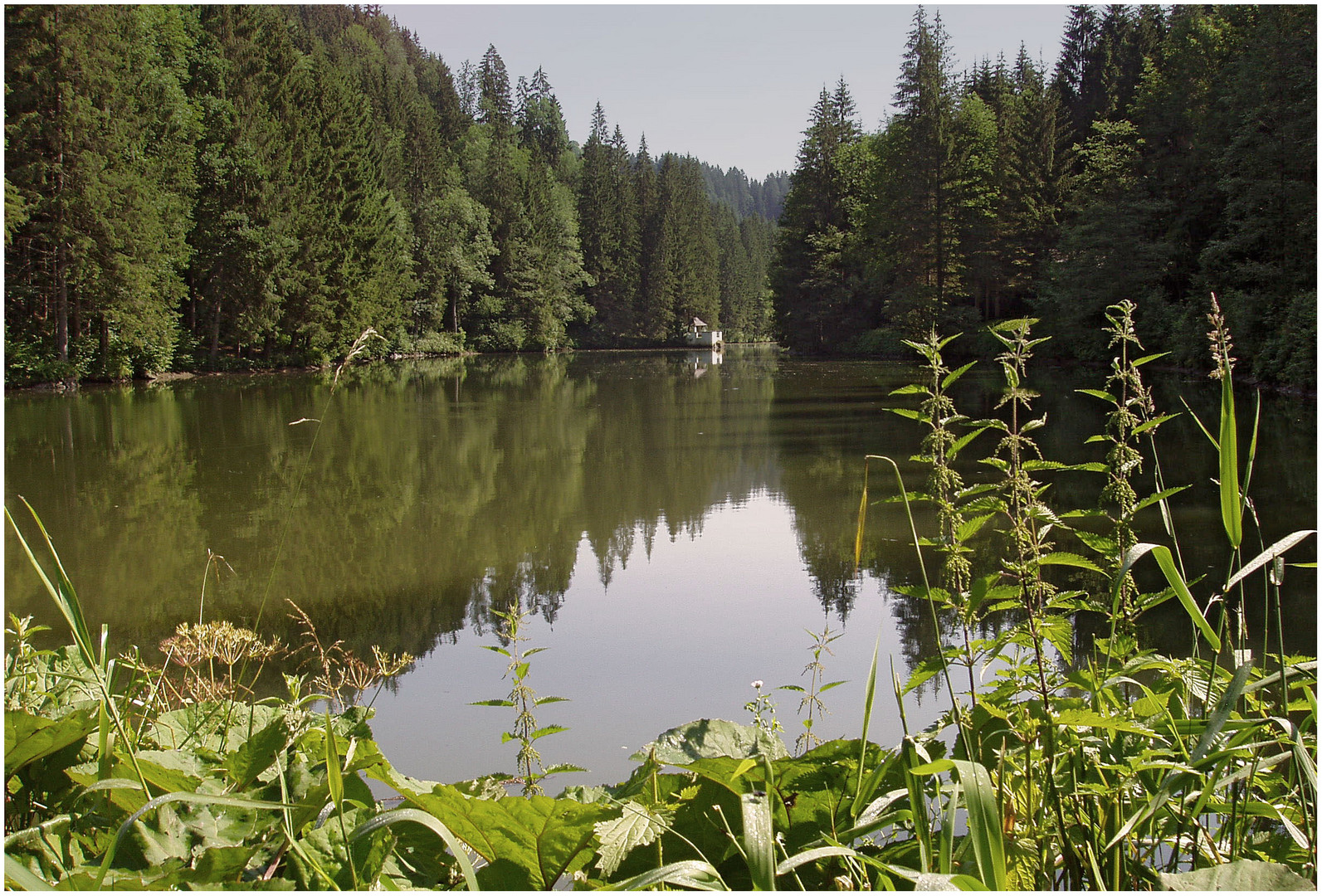 Idyll am Fischteich