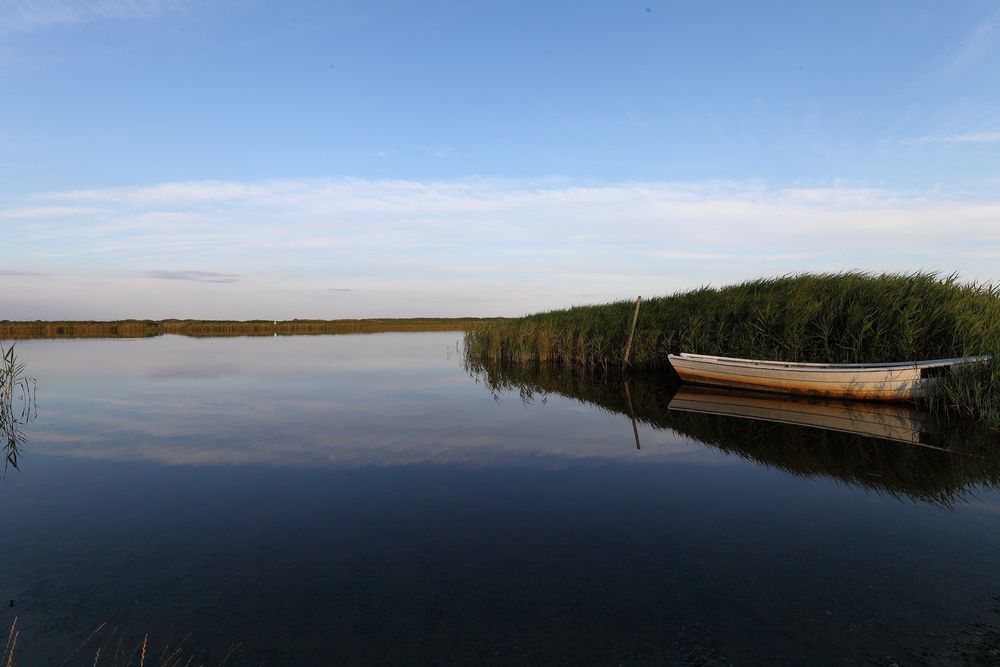 Idyll am Fjord