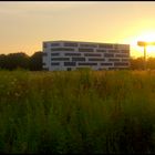 Idyll am Flughafen