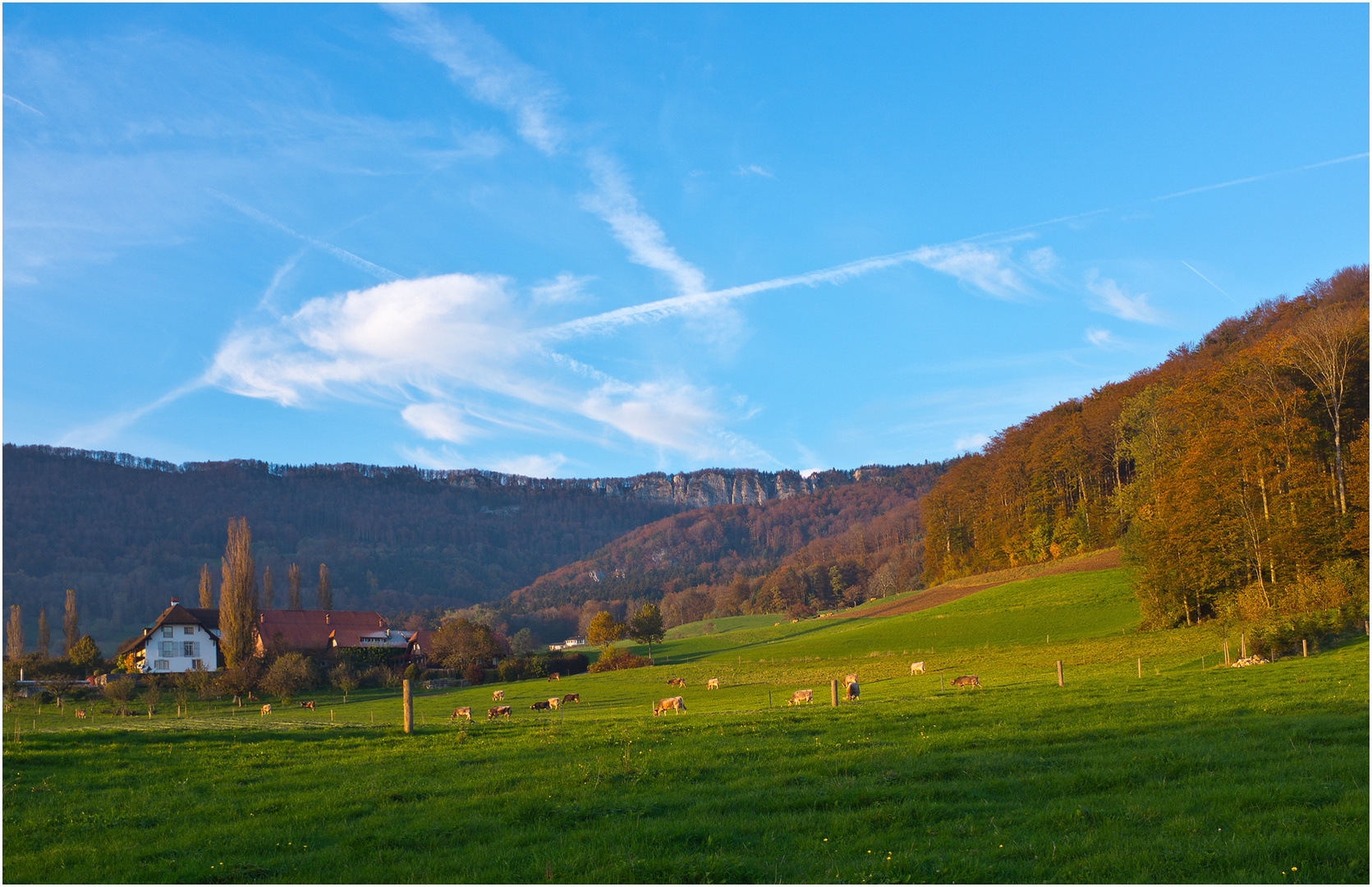 Idyll am Jura II