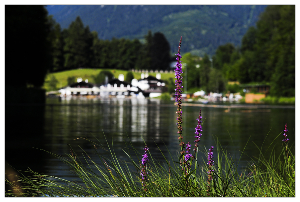 Idyll am Riessersee