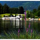 Idyll am Riessersee