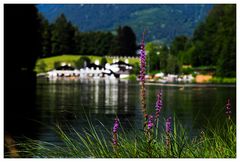 Idyll am Riessersee