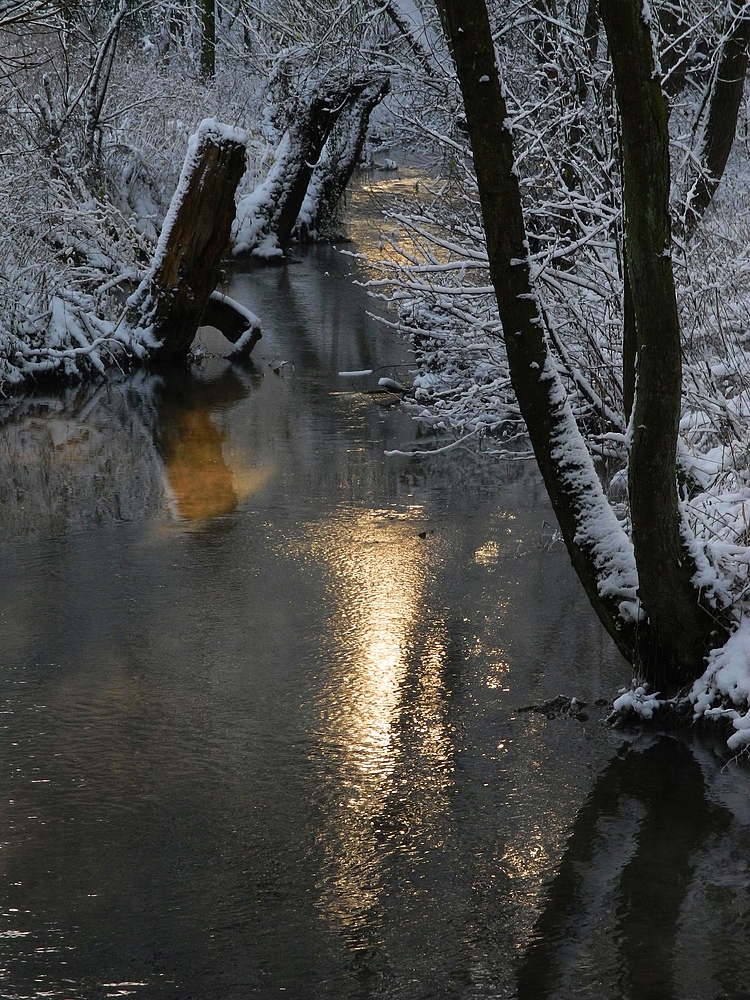 Idyll an der Düssel . . .