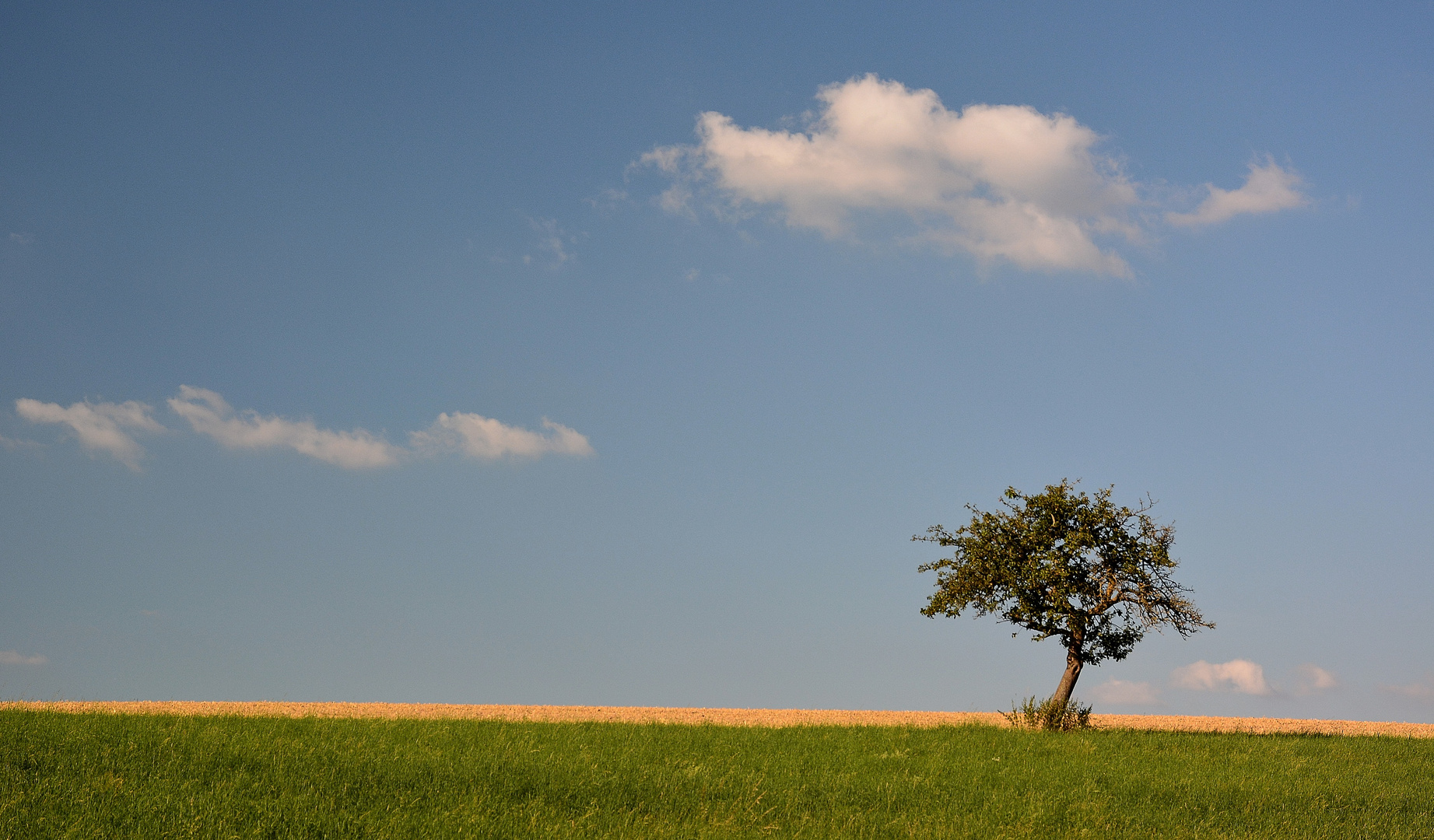 Idyll im Abendlicht