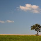 Idyll im Abendlicht