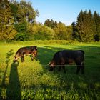 Idyll im Allgäu