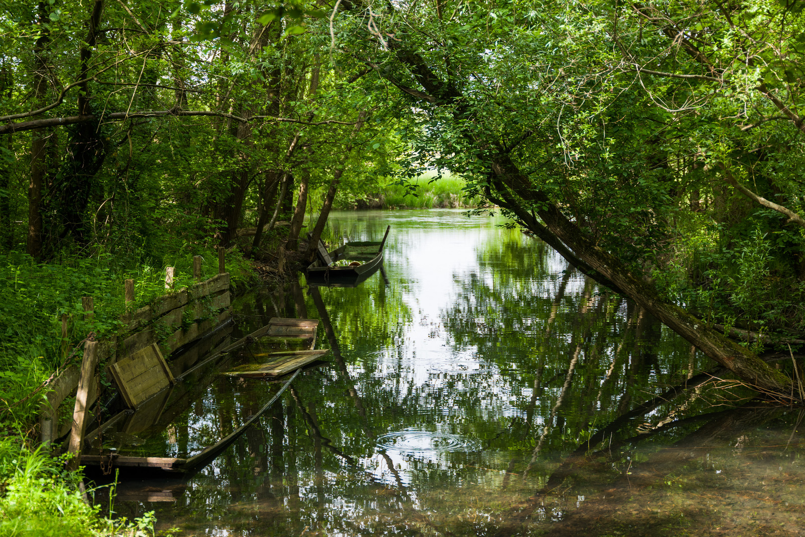 Idyll im Naturschutzgebiet Taubergießen