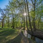 Idyll im Park