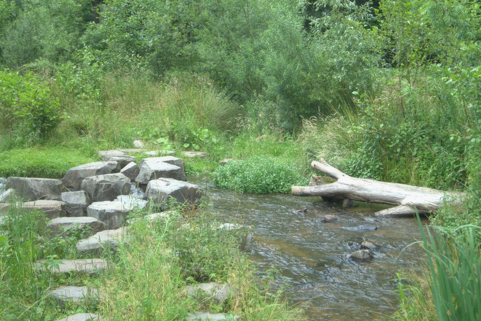 Idyll im Stadtpark