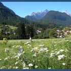 Idyll in den julischen Alpen (SLO)