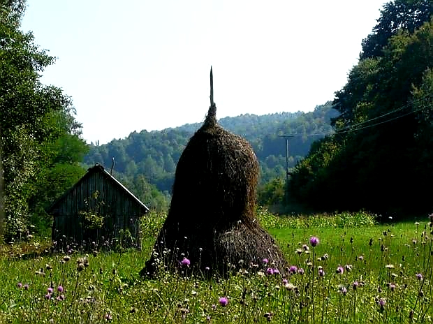 Idyll in den Karpaten 