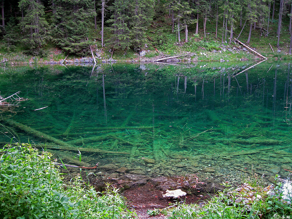 Idyll in Grün