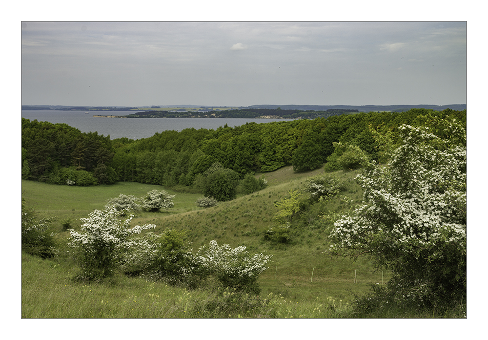 Idyll mit Weitblick