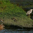 Idylle am Abend