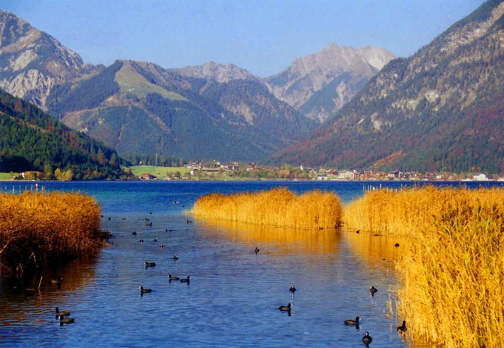 Idylle am Achensee