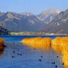 Idylle am Achensee