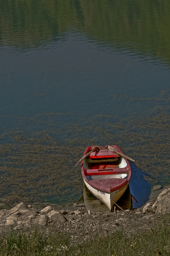 Idylle am Alpsee