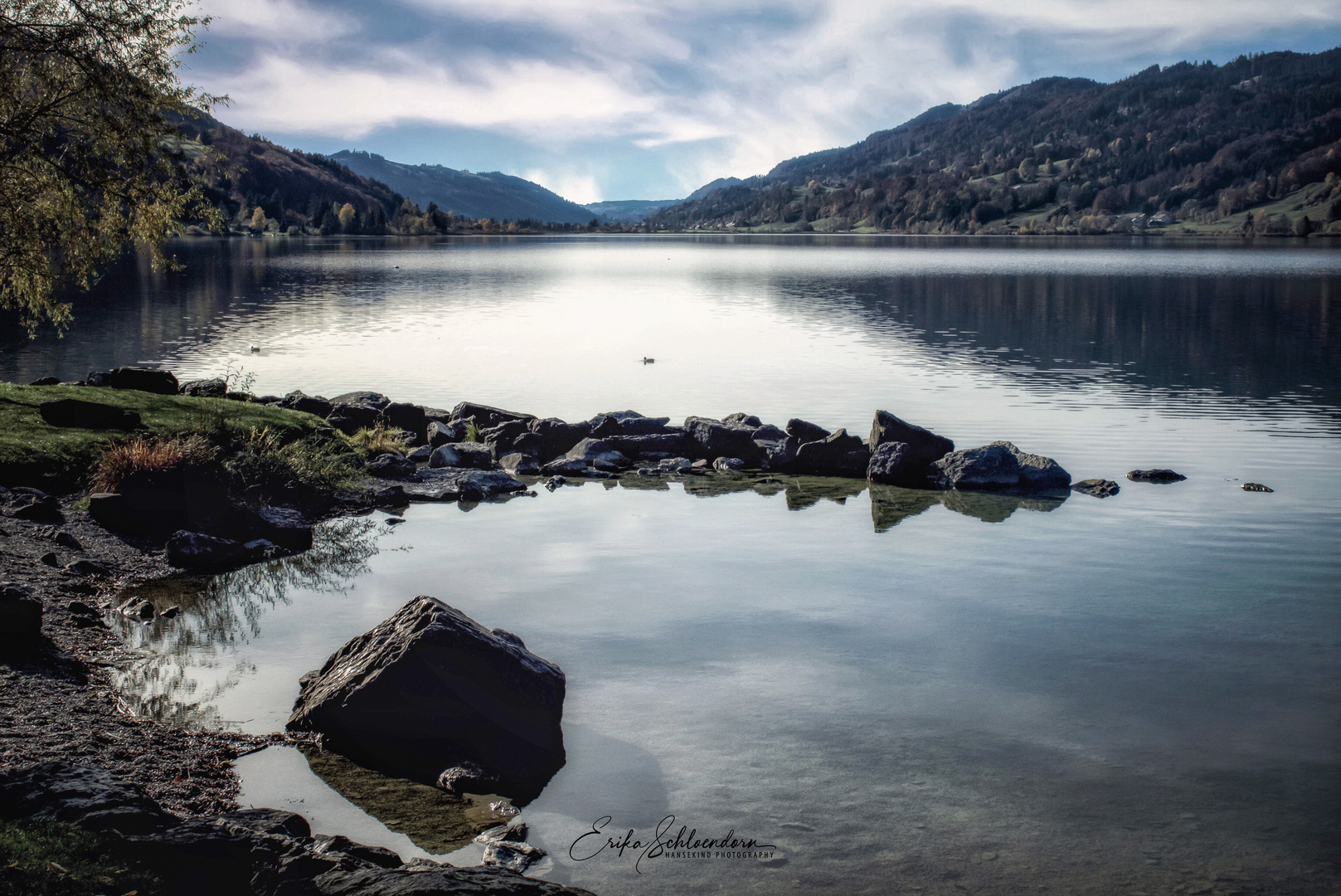 Idylle am Alpsee 