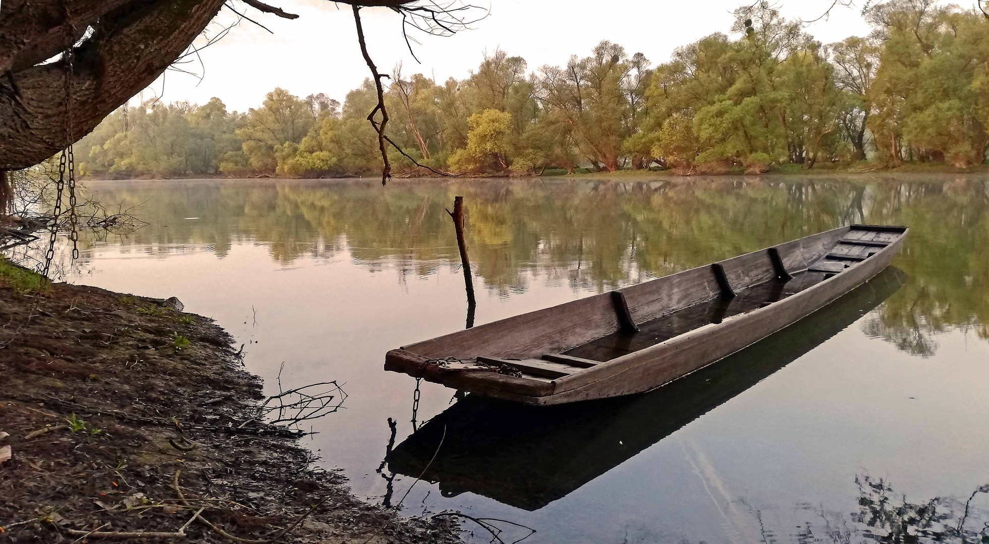 Idylle am Altrhein