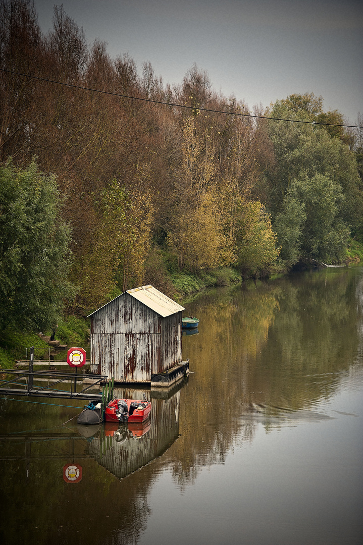 Idylle am Altrhein