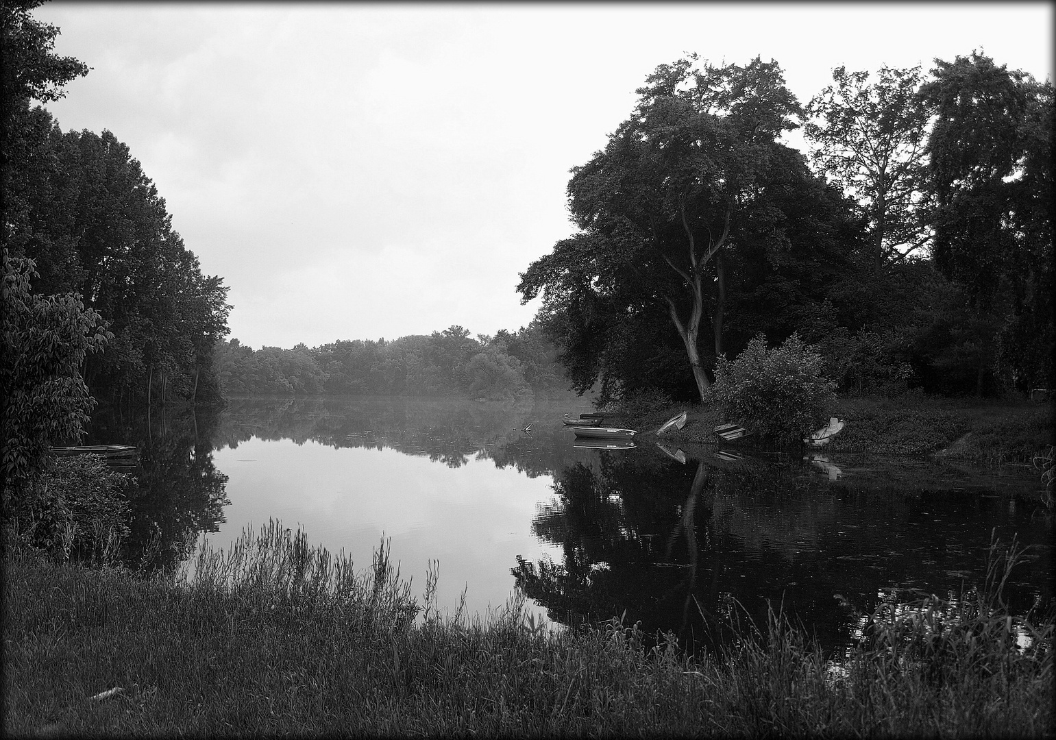 Idylle am Altrhein - Kollerinsel