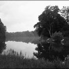 Idylle am Altrhein - Kollerinsel