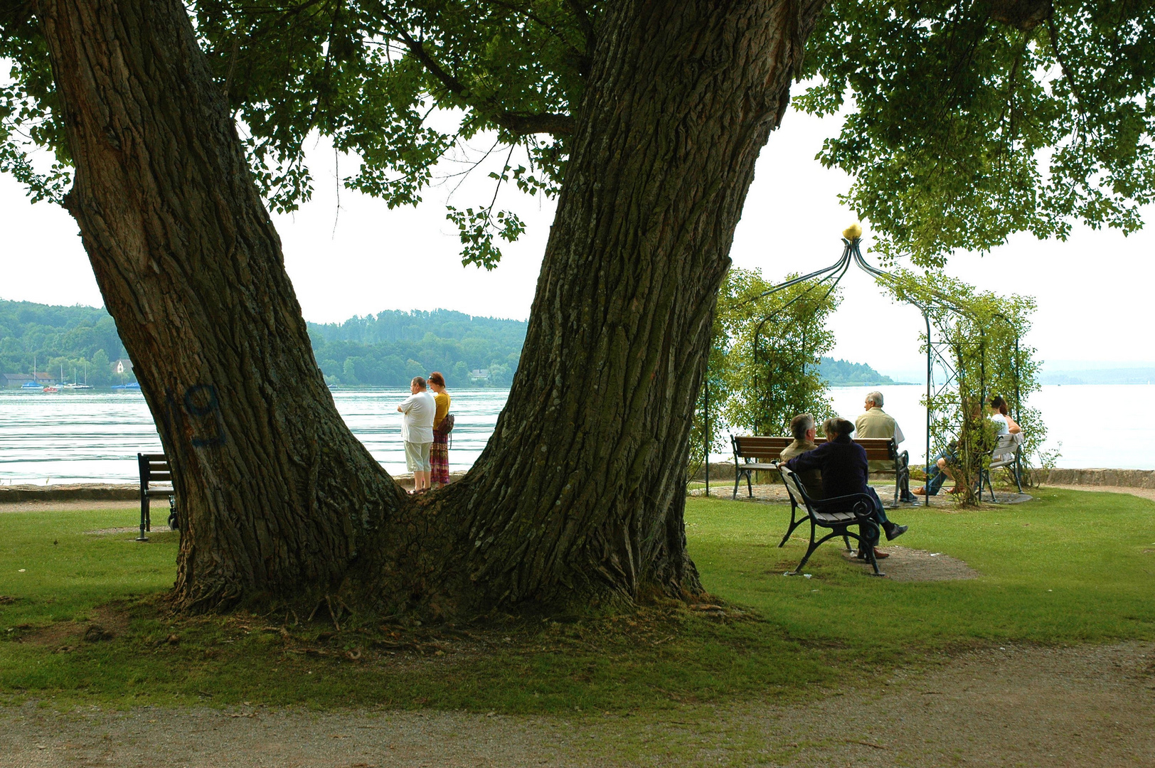 Idylle am Ammersee