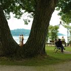 Idylle am Ammersee