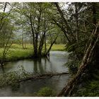 Idylle am Bach