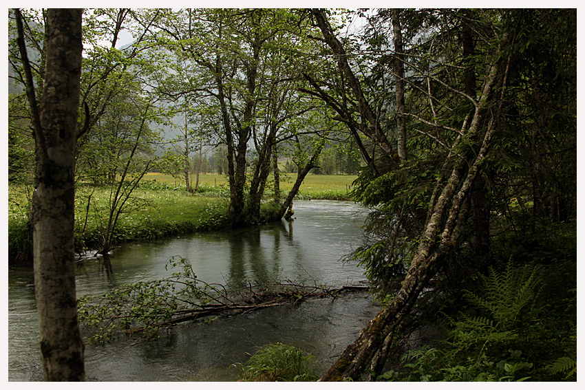 Idylle am Bach