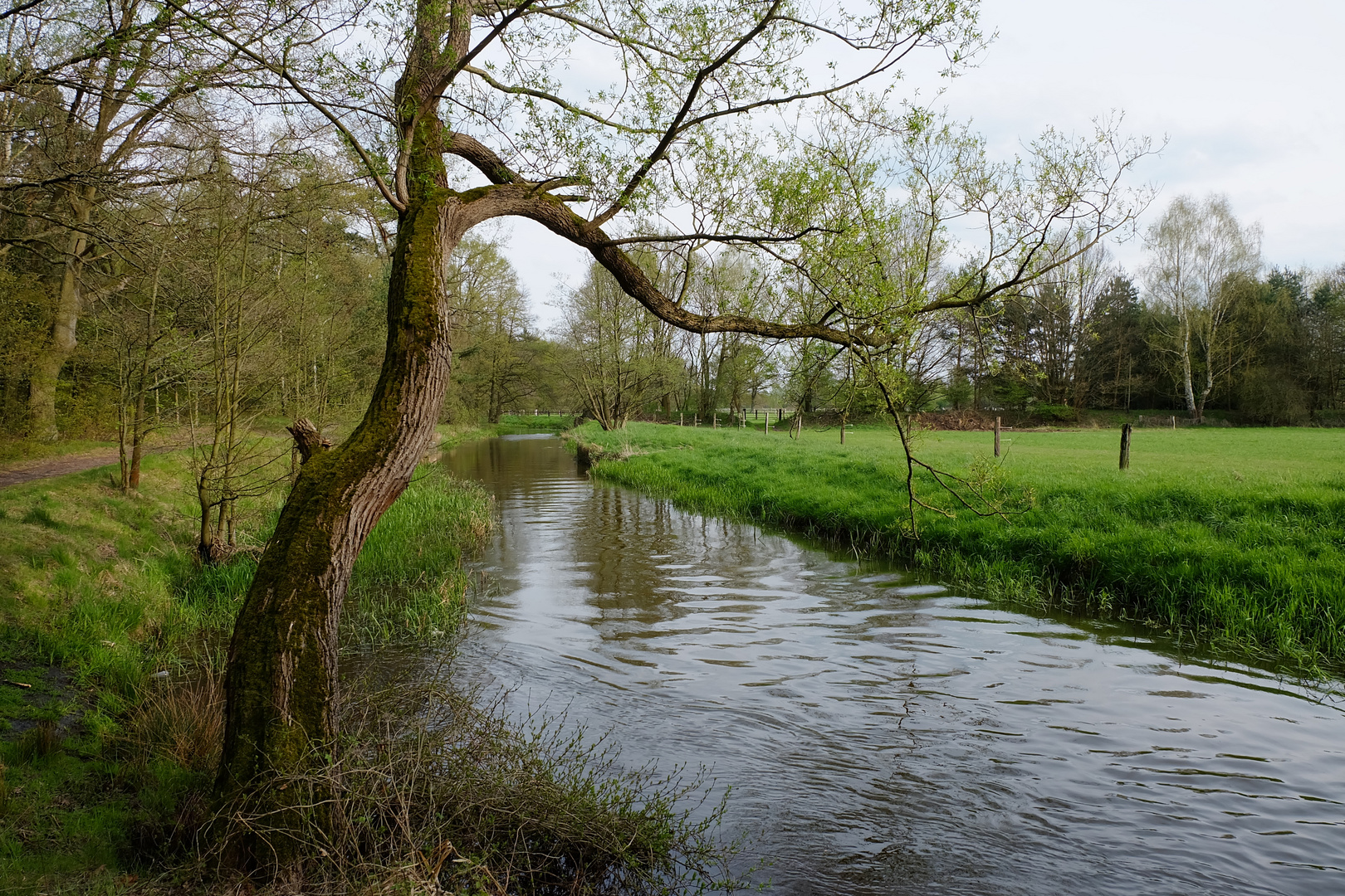 Idylle am Bach