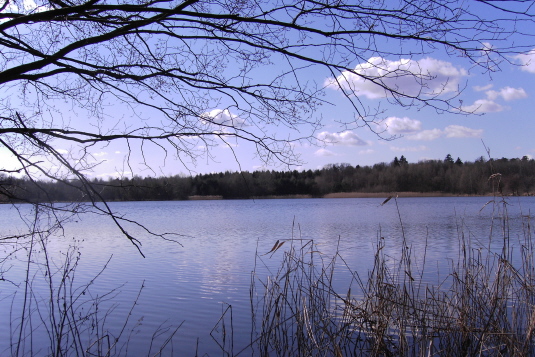 Idylle am Baggersee