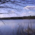 Idylle am Baggersee