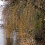 Idylle am Beetzsee