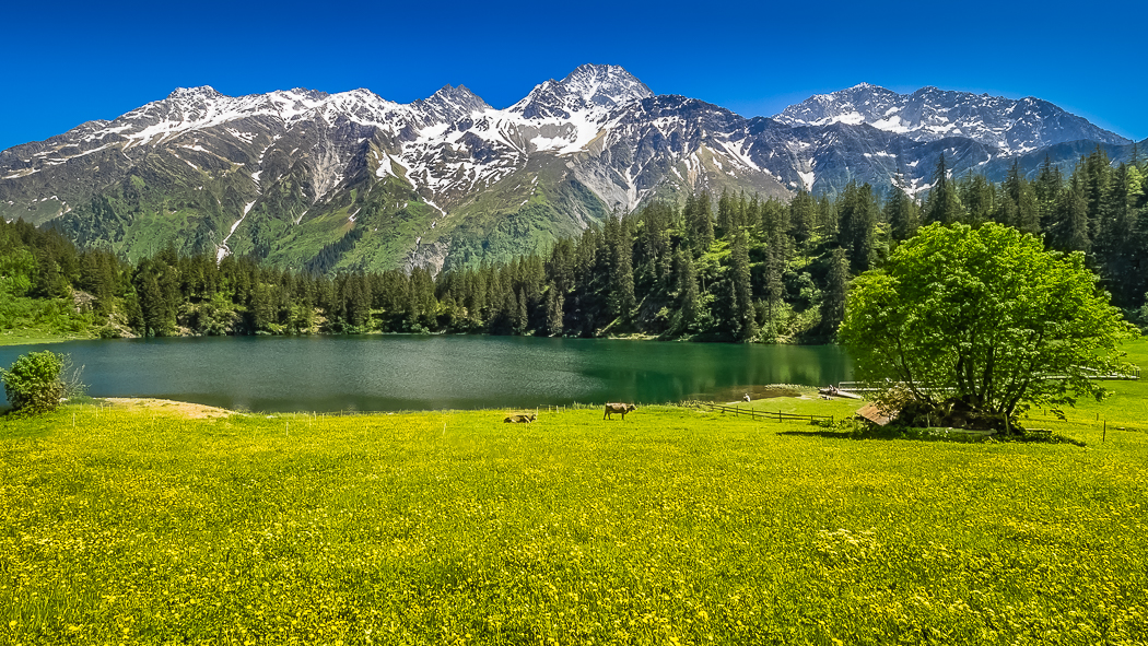 Idylle am Bergsee