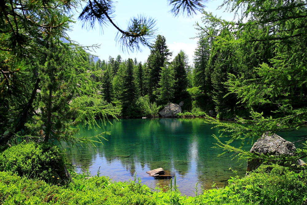 Idylle am Bergsee - erfrischende Abkühlung