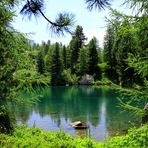 Idylle am Bergsee - erfrischende Abkühlung